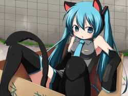  animal_ears aqua_eyes aqua_hair box cardboard_box cat_ears cat_tail detached_sleeves female hatsune_miku kemonomimi_mode long_hair n39 necktie skirt solo tail thighhighs twintails vocaloid 