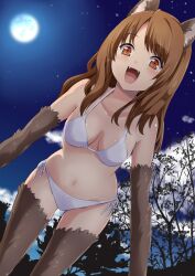  animal_ears bikini blue_door breasts brown_eyes brown_hair cleavage commentary_request fangs female full_moon long_hair medium_breasts moon navel open_mouth original outdoors photoshop_(medium) side-tie_bikini_bottom smile solo swimsuit tail thighhighs white_bikini wolf_ears wolf_tail 