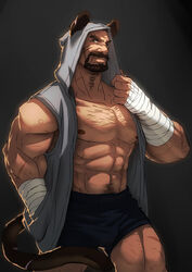  1boy abs alternate_costume animal_ears animal_hood arm_hair bandaged_arm bandages bara bare_pectorals beard black_shorts brown_eyes chest_hair closed_mouth dark-skinned_male dark_skin facial_hair fake_animal_ears fake_tail fliegen80s grey_shirt hood hood_up hooded_shirt kemonomimi_mode large_pectorals leg_hair looking_at_viewer male_focus mature_male muscular muscular_male navel navel_hair nipples open_clothes open_shirt overwatch overwatch_1 pectorals reaper_(overwatch) scar scar_on_arm scar_on_cheek scar_on_face scar_on_leg shirt short_hair shorts solo stomach strongman_waist tail thick_eyebrows 