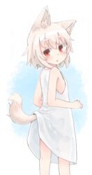  :o absurdres aged_down albino alternate_costume animal_ear_fluff animal_ears bare_arms bare_shoulders blue_background colored_eyelashes crosshatching dress eyebrows feet_out_of_frame female from_behind from_side hair_between_eyes hands_up hatching_(texture) highres inconvenient_tail inubashiri_momiji kibisake kneepits lifted_by_tail lolicon looking_at_viewer looking_back medium_dress parted_lips red_eyes short_hair sleeveless sleeveless_dress solo standing tail tail_raised touhou two-tone_background white_background white_dress white_hair wolf_ears wolf_girl wolf_tail 