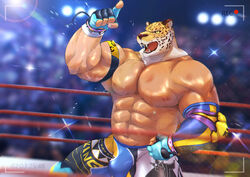  abs absurd_res animal_head animal_mask bodily_fluids bulge crowd felid fighting_ring for_a_head group hanapanda hi_res human humanoid jaguar king_(tekken) luchador male mammal mask muscular muscular_male nipples pantherine pecs solo sweat tekken tekken_(series) tekken_8 wrestler wrestling 