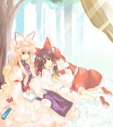  2girls against_tree akarino_(yucco) blonde_hair book folded_fan folding_fan forest grass hakurei_reimu hand_fan hat light_rays long_hair lying multiple_girls nature on_side ribbon sitting sunbeam sunlight touhou tree yakumo_yukari 