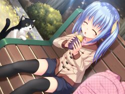  animal backpack bag black_shorts black_thighhighs blue_hair blush closed_eyes commentary_request feline female food hair_ribbon highres indoors kageira long_hair original ribbon shorts sitting solo steam sweet_potato thighhighs twintails unworn_backpack unworn_bag yellow_ribbon 