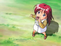  female from_above grass green_background hinomoto_hikari kokura_masashi lolicon mole mole_under_eye red_hair solo tokimeki_memorial tokimeki_memorial_2 