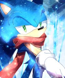  2016 anthro baitong9194 big_eyes big_head clothing eulipotyphlan fur gloves green_eyes half-closed_eyes handwear hedgehog hi_res male mammal narrowed_eyes scarf sega snow solo sonic_the_hedgehog sonic_the_hedgehog_(series) toony winter 