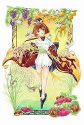  :d animal animal_on_shoulder apron autumn benienma_(fate) bird bird_on_shoulder border brown_eyes brown_hair chestnut commentary_request fate/grand_order fate_(series) feather_trim female food fruit fruit_tree full_body grapes head_tilt highres holding japanese_clothes kimono long_hair long_sleeves looking_at_viewer low_ponytail mandarin_orange okobo parted_bangs red_kimono ripples ryuukyou sandals sheaf short_kimono smile solo sparrow standing standing_on_liquid sweet_potato tree vegetable wheat wheat_bundle white_apron white_border wide_sleeves 