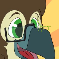  1:1 2d_animation accipitrid accipitriform animated anthro antoreakk arthropod avian beak bird eagle eyewear get_stickbugged_lol glasses green_eyes insects male meme phasmid philippine_eagle short_playtime smile solo tongue 