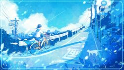  bicycle black_footwear black_hair blue_sailor_collar blue_skirt blue_sky blue_theme building cloud cloudy_sky feline female fish highres leaf long_hair original outdoors plant pleated_skirt ponytail sailor_collar school_uniform serafuku shadow shoes skirt sky socks solo wacca005 white_cat white_socks wide_shot 