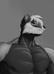  2023 absurd_res anthro badger black_hair gigachad gradient_background hair hi_res looking_away male mammal meme monochrome multicolored_hair muscular muscular_male mustelid musteline simple_background smile solo white_hair za-owl zaul_(za-owl) 