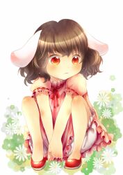  animal_ears bad_id bad_pixiv_id bloomers brown_hair dress female floral_background inaba_tewi jitome orange_eyes rabbit_ears ribbon-trimmed_clothes ribbon-trimmed_sleeves ribbon-trimmed_underwear ribbon_trim rira_fuuka short_hair sitting solo touhou underwear 