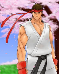  1boy bandana cherry_blossoms fingerless_gloves gloves hybrid_cat male_focus ryu_(street_fighter) solo street_fighter 