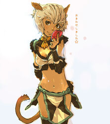  12_(xaenedju) adventurer_(ff11) animal_ears cat_ears cat_girl commentary_request female final_fantasy final_fantasy_xi midriff mithra_(ff11) solo 