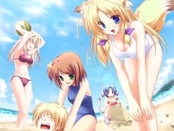  1boy 4girls :o =_= ^_^ age_difference animal_ears armpits arms_up beach bent_over bikini blonde_hair blue_eyes blue_hair blue_one-piece_swimsuit breasts brown_hair buried casual_one-piece_swimsuit cleavage closed_eyes cloud constricted_pupils crab crustacean day dog_ears dog_tail fisheye food fox_ears fox_tail fruit game_cg green_eyes hair_intakes hair_ribbon hairband hands_on_own_knees happy haruhi_sarasa holding holding_food holding_fruit holding_watermelon inakoi kamishiro_mutsuki kujou_hiina large_breasts lens_flare looking_at_another looking_at_viewer looking_down midou_chihiro multiple_girls navel nervous ocean on_ground one-piece_swimsuit one_side_up outdoors parted_bangs purple_bikini red_eyes ribbon sand_castle sand_sculpture sandals seashell seiza shell short_hair sideboob sidelocks sitting sky small_breasts standing surprised sweatdrop swimsuit tail taut_clothes tenmaso tress_ribbon water watermelon white_hair white_one-piece_swimsuit yagami_kijuurou 