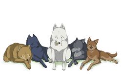  animal animal_focus blue_(wolf&#039;s_rain) blue_eyes bracelet brown_eyes canine commentary_request epiphyllum flower hige jewelry kiba lying multiple_dogs no_humans scar shiroinu sitting toboe tongue tsume white_flower wolf wolf&#039;s_rain yellow_eyes 