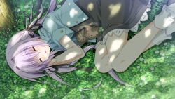  1/2_summer alcot animal feline game_cg grass kuonji_sora purple_hair sesena_yau sleeping twintails 