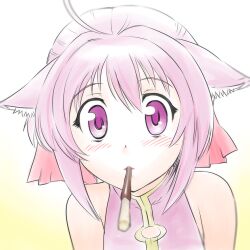  ahoge animal_ears bare_shoulders blurry blush commentary_request depth_of_field dog_days dog_ears dog_girl female food incoming_pocky_kiss looking_at_viewer millhiore_f._biscotti mouth_hold pink_eyes pink_hair pocky solo tareme ueyama_michirou wide-eyed 