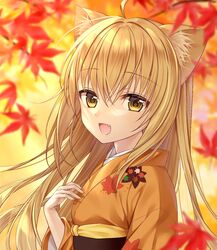  animal_ears autumn autumn_leaves blonde_hair blurry blush commentary day depth_of_field falling_leaves female fox_ears from_side japanese_clothes kimono konohana_kitan leaf leaf_print long_hair long_sleeves looking_at_viewer maple_leaf obi open_mouth orange_kimono sash shino_skk smile solo straight_hair upper_body yellow_background yellow_eyes yuzu_(konohana_kitan) 