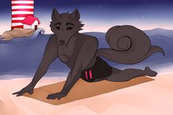  anthro beach bedsheetwalking canid canine canis clothed clothing crimson domestic_dog hi_res lighthouse maine male mammal partially_clothed red_eyes seaside sky solo star starry_sky stretching swimming_trunks swimwear wolf yoga 