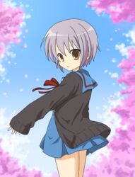  bad_id bad_pixiv_id blue_sailor_collar blue_skirt brown_eyes cardigan cherry_blossoms female grey_hair kita_high_school_uniform nagato_yuki nyaro purple_hair sailor_collar school_uniform serafuku short_hair skirt solo suzumiya_haruhi_no_yuuutsu winter_uniform 