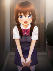  bad_id bad_pixiv_id blue_eyes blush brown_hair doorway female long_hair necktie noshimasa open_mouth original out_of_frame photoshop_(medium) pov pov_hands school_uniform skirt solo_focus twintails vest 