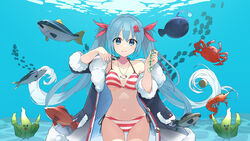  absurdres anglerfish bikini black_coat blue_eyes blue_hair breasts breasts_apart closed_mouth coat collarbone commentary cowboy_shot crab female fish fish_pendant hair_ornament halterneck hands_up hatsune_miku highres holding holding_plant jack_(fish) japanese_amberjack jewelry long_hair looking_at_viewer medium_breasts navel official_art open_clothes open_coat pendant plant sake-meron seaweed shrimp side-tie_bikini_bottom single_bare_shoulder smile solo strap_lift string_bikini striped_bikini striped_clothes swimsuit twintails umi_no_searchlight_(vocaloid) underwater very_long_hair vocaloid yuki_miku yuki_miku_(2022) 