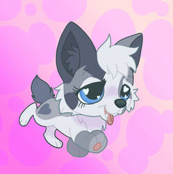  &lt;3_eyes ambiguous_gender blue_eyes canid canine canis domestic_dog fan_character feral fur grey_body grey_fur hasbro head_tuft heart herding_dog inner_ear_fluff leg_markings lidded_eyes littlest_pet_shop mammal markings open_mouth open_smile pastoral_dog pawpads paws prick_ears running smile socks_(marking) solo style_parody tail tgray9937 tongue tongue_out tuft welsh_corgi white_body white_eyelashes white_fur 