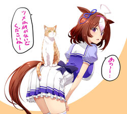  ahoge animal_ears breasts brown_hair cat_on_ass feline female hairband highres horse_ears horse_girl horse_tail izumi_mahiru large_breasts leaning_forward looking_at_viewer looking_back meisho_doto_(umamusume) meto_(cat) open_mouth puffy_short_sleeves puffy_sleeves purple_shirt real_life sailor_collar school_uniform shirt short_sleeves simple_background skirt solo speech_bubble tail thighhighs tracen_school_uniform translated umamusume white_skirt white_thighhighs 