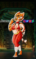  anthro breasts cleavage clothed clothing detailed_background digitigrade dreamworks felid female full-length_portrait kung_fu_panda leg_wraps leggings legwear looking_at_viewer mammal master_tigress midriff nativefall pantherine portrait signature solo standing tiger wraps yellow_eyes 