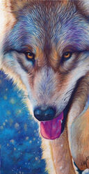  2013 abstract_background ambiguous_gender black_body black_fur black_nose brown_body brown_fur canid canine canis detailed_background feral front_view fur hi_res looking_at_viewer mammal novawuff open_mouth portrait solo tan_body tan_fur tongue tongue_out white_body white_fur wolf yellow_eyes 