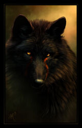  2013 ambiguous_gender black_body black_border black_fur black_nose border canid canine canis feral fur hi_res mammal markings notched_ear novawuff orange_eyes orange_theme red_markings solo wolf yellow_eyes 