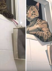  anthro bag bathroom canyne_khai comparison domestic_cat felid feline felis male mammal meme paintover photo_manipulation reference_image solo third-party_edit tile tile_wall wall_(structure) 