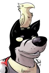  2:3 anthro armor avian bird black_body black_fur brown_body brown_fur canid canine canis cape clothing domestic_dog duo fur hi_res latchkey_kingdom male mammal p5ych portrait rex_vunderdog simple_background smile white_background yellow_eyes 