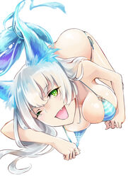  all_fours animal_ears bad_id bad_pixiv_id bikini breasts female green_eyes mila_(yuta27315) oerba_yun_fang one_eye_closed open_mouth original simple_background solo swimsuit tail white_background white_hair 