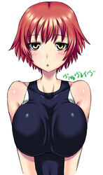  :o aonozakura_aruto breasts brown_hair commentary_request competition_swimsuit female kakumeiki_valvrave large_breasts nanami_rion one-piece_swimsuit short_hair swimsuit text_focus yellow_eyes 