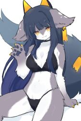  2024 anthro arm_tuft bikini black_bikini black_clothing black_hair black_swimwear breasts clothing female fur grey_body grey_fur hair kemono long_hair looking_at_viewer mammal pawpads shoulder_tuft solo spommmm swimwear tuft two-piece_swimsuit white_body white_fur yellow_eyes 