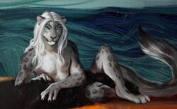  anthro blue_eyes felid fur grey_eyes hair hriscia long_hair long_tail looking_at_viewer lying male mammal nipples nude pantherine paws pink_nose simple_background snow_leopard strategically_covered tail teal_background white_hair 