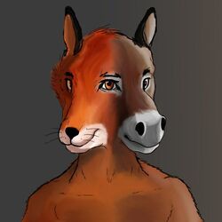  1:1 3_eyes anthro asinus canid canine conjoined delldogzone donkey equid equine fox fused_eyes male mammal multi_eye multi_face multi_snout simple_background solo verk what what_has_science_done 