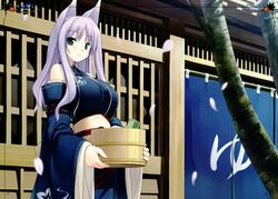  absurdres animal_ears bathhouse blue_kimono breasts bucket carrying detached_sleeves female fox_ears green_eyes highres huge_breasts japanese_clothes kimono momoyama_tsutsune original petals poco_(asahi_age) purple_hair scan solo 