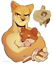  2020 anthro bodily_fluids canid canine canis cheems daww digital_media_(artwork) dogelore domestic_dog duo feral hi_res humor luryry male mammal meme shaded shiba_inu simple_background spitz swole_doge tears white_background 