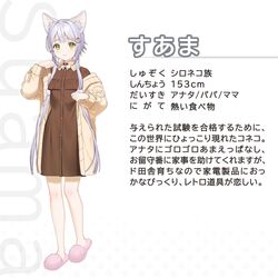  animal_ears bad_id bad_twitter_id cat_ears cat_girl character_name character_profile coat collared_dress dress female full_body green_eyes grey_hair hands_up highres koyoi_mitsuki long_hair looking_at_viewer original pink_footwear shoes sidelocks slippers solo standing standing_on_one_leg 