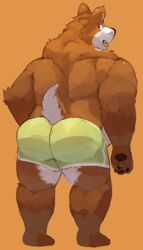  absurd_res anthro astrodae bear boxer_briefs brown_body brown_fur clothing deer fur hi_res hybrid looking_at_viewer looking_back male mammal mishka_(fishymishy) open_mouth open_smile overweight overweight_male pawpads paws scut_tail short_tail smile solo tail teeth underwear white_body white_fur 