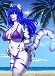  2022 anthro beach bikini biped blue_body blue_eyes blue_fur blue_hair blue_stripes breasts clothed clothing cloud digital_media_(artwork) duo_maxwell eyelashes felid feline female front-tie_bikini front-tie_clothing front-tie_swimwear fur hair kitsunewaffles-chan long_hair looking_at_viewer mammal markings navel outside palm_tree pantherine pink_nose pink_tongue plant portrait purple_bikini purple_clothing purple_swimwear sand sea seaside shaded side-tie_bikini side-tie_clothing side-tie_swimwear sky solo standing string_bikini striped_markings stripes swimwear tail three-quarter_portrait tiger tongue tongue_out tree triangle_bikini water white_body white_fur 