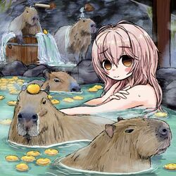  animal bathing blush blush_stickers bubbacterial bucket capybara closed_mouth female food fruit highres kimi_to_kanojo_to_kanojo_no_koi. long_hair looking_at_viewer mukou_aoi_(totono) nude onsen orange_eyes outdoors partially_submerged pink_hair sitting solo water wavy_mouth wet yuzu_(fruit) yuzu_bath 