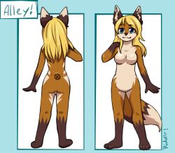  alley_(riddlr) anthro blonde_hair blue_eyes breasts brown_body brown_fur brown_nose canid dipstick_ears ear_markings featureless_breasts featureless_crotch female front_view fur glistening glistening_eyes gloves_(marking) hair inner_ear_fluff leg_markings long_hair looking_at_viewer mammal markings model_sheet mouth_closed multicolored_ears nude rear_view riddlr signature socks_(marking) solo standing tan_body tan_fur tan_inner_ear_fluff tuft 