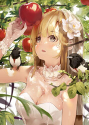  animal animal_on_shoulder apple arm_up bare_shoulders bird bird_on_shoulder blush branch breasts cleavage collarbone commentary dress female flower food fruit gloves grey_eyes hair_between_eyes hair_flower hair_ornament highres light_brown_hair long_hair looking_away medium_breasts niii_(memstapak) original parted_lips photoshop_(medium) polka_dot polka_dot_gloves red_apple see-through solo strapless strapless_dress upper_body veil white_dress white_flower 