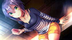  arm_at_side black_choker blush breasts choker closed_mouth collarbone commentary day dosu_(doseven) dutch_angle female food fruit green_eyes hair_between_eyes highres holding holding_food jewelry kuroha_yuki long_sleeves looking_at_viewer medium_breasts medium_hair necklace on_floor orange_shorts original outdoors pendant purple_hair shirt short_shorts shorts sitting sliding_doors smile solo striped_clothes striped_shirt summer sunlight tatami watermelon watermelon_seeds wooden_floor 