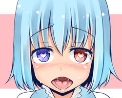  bad_id bad_pixiv_id blue_eyes blue_hair blush commentary_request female garasuita heart heart-shaped_pupils heterochromia looking_at_viewer nose_blush open_mouth portrait red_eyes saliva solo sweat symbol-shaped_pupils tatara_kogasa tongue tongue_out touhou 