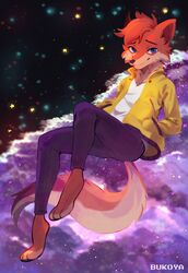  2019 anthro barefoot blue_eyes bottomwear bukoya-star canid canine cheek_tuft clothed clothing facial_tuft feet fox fully_clothed fur head_tuft hi_res jacket looking_at_viewer mammal neck_tuft orange_body orange_fur pants shirt smile solo star topwear tuft 