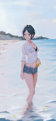  absurdres bare_legs beach black_bra blue_hair bra bra_visible_through_clothes breasts cleavage collarbone dark_blue_hair denim denim_shorts female flower hayami_kanade highres holding holding_flower idolmaster idolmaster_cinderella_girls looking_to_the_side medium_breasts navel outdoors parted_bangs partially_unbuttoned qingli_ye refraction shirt short_hair shorts smile solo stomach underwear wading white_shirt 