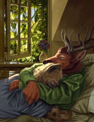  absurd_res anthro antlers bed brown_body brown_fur cervine closed_eyes clothed clothing cuddling deer duo elk fluffy fur furniture garden hi_res horn hug hyena inside lying lying_on_top male male/male mammal mo_(momamo) momamo on_back orange_body orange_fur plant spots spotted_hyena tterra 